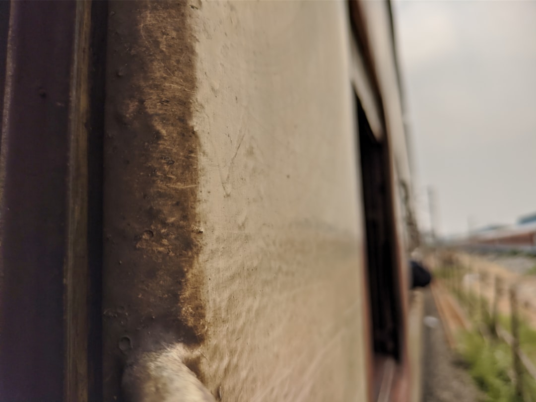 The look back from a moving train