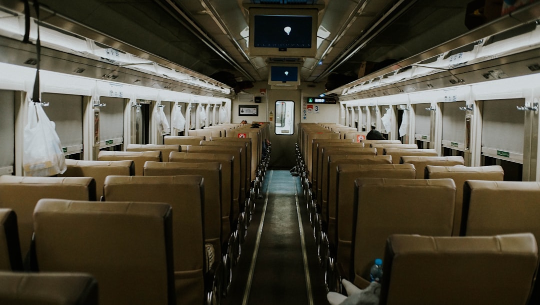車內(nèi)飾發(fā)霉了怎么處理？根源在皮革和海綿的深層菌絲