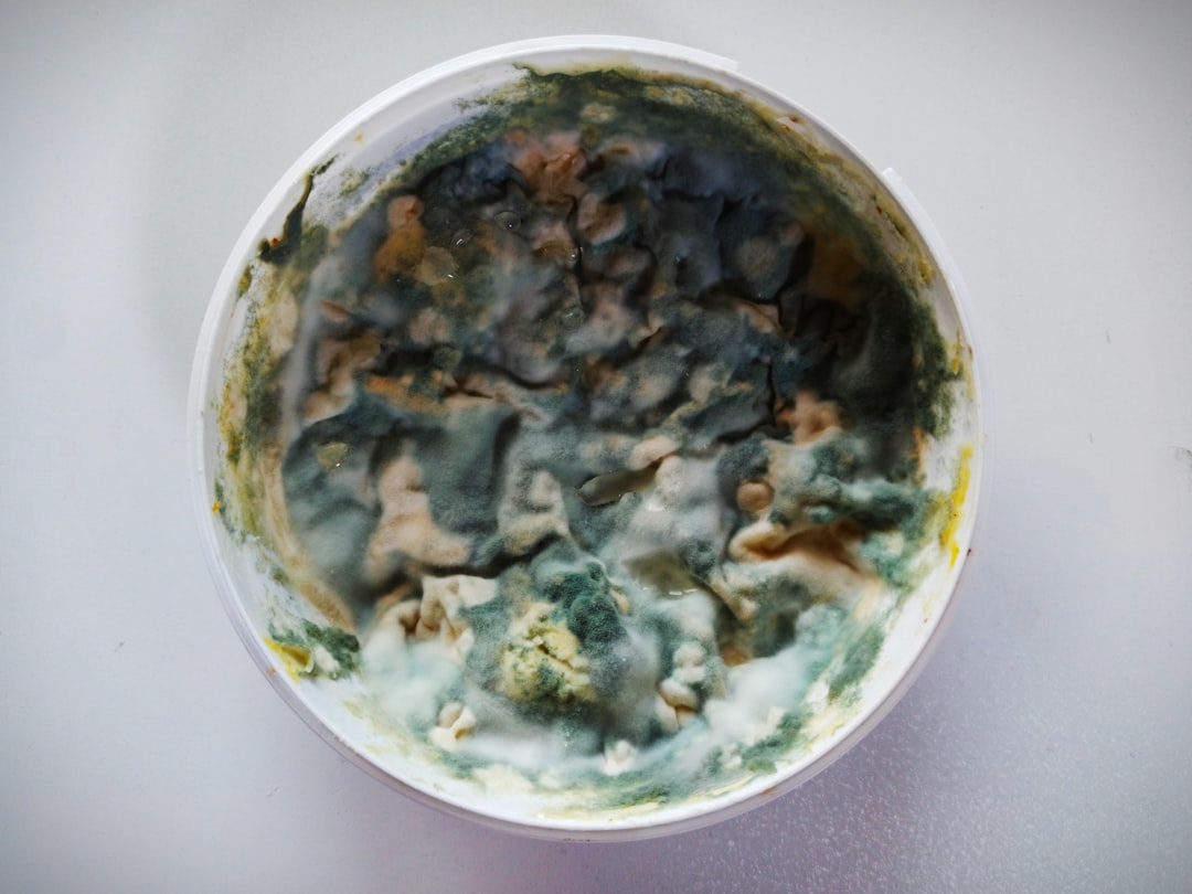 食品級防霉劑用在菜板為什么還發(fā)霉？根源在縫隙和濕度